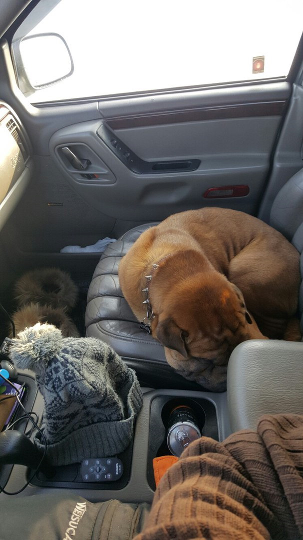 поменялся местами с хозяйкой — Jeep Grand Cherokee (WJ)