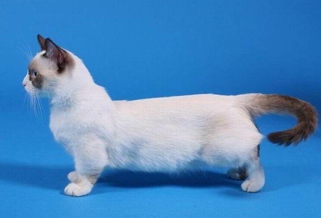 a8965du 960 дропнуть машину что значит