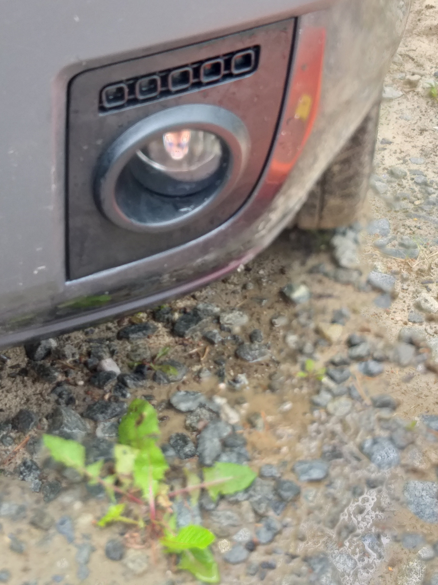 7# Замена птф и диоды в габариты. — Ford Fusion, 1,4 л, 2008 года ...