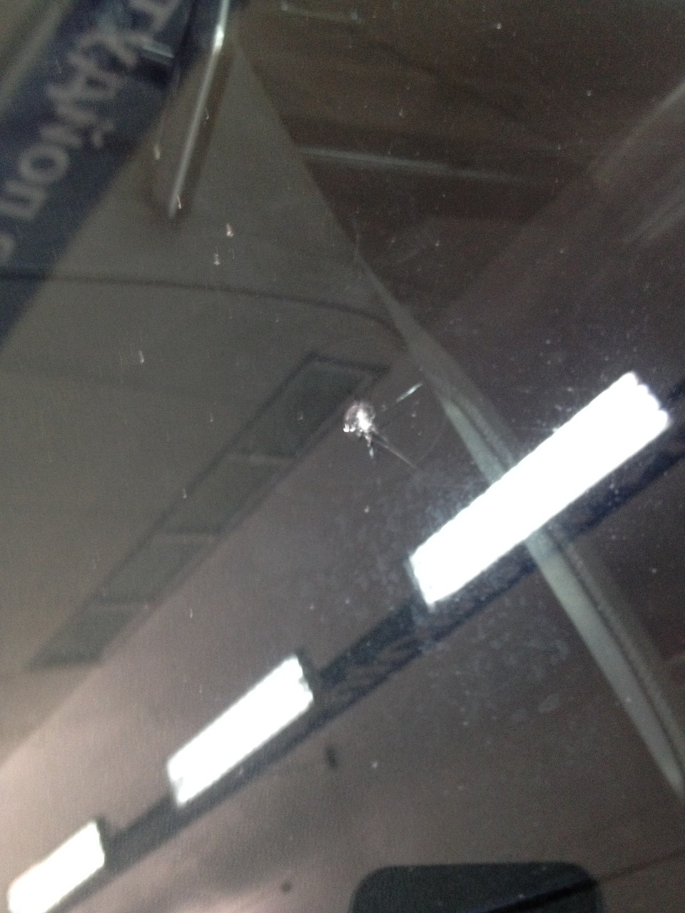 Ремонт скола на лобовом стекле — Subaru Forester (SG), 2 л, 2002 года ...