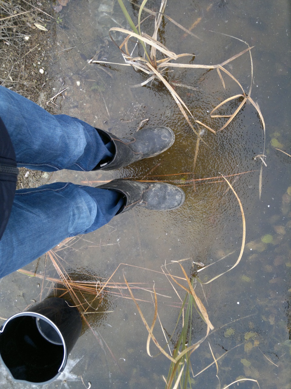 Подключаем магнитолу и зимняя мойка — Ford Focus II Sedan, 1,6 л, 2006 ...