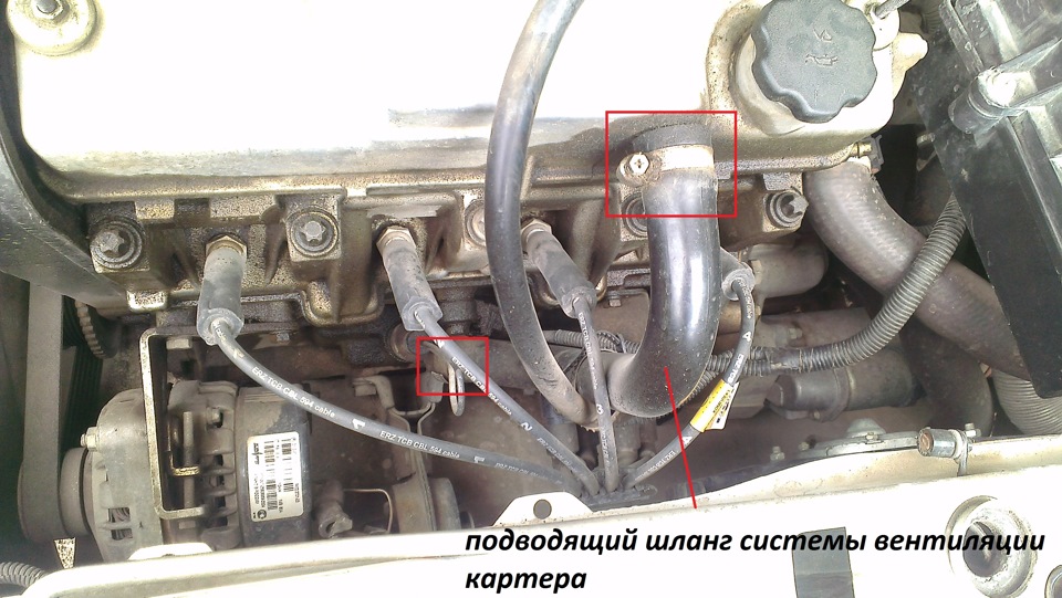 Картерных газы ваз 2114. Шланг системы вентиляции картера ВАЗ 2114. Клапан вентиляции картера ВАЗ 2114. Клапан вентиляции картерных газов ВАЗ 2114. Патрубок вентиляции картерных газов ВАЗ 2114.