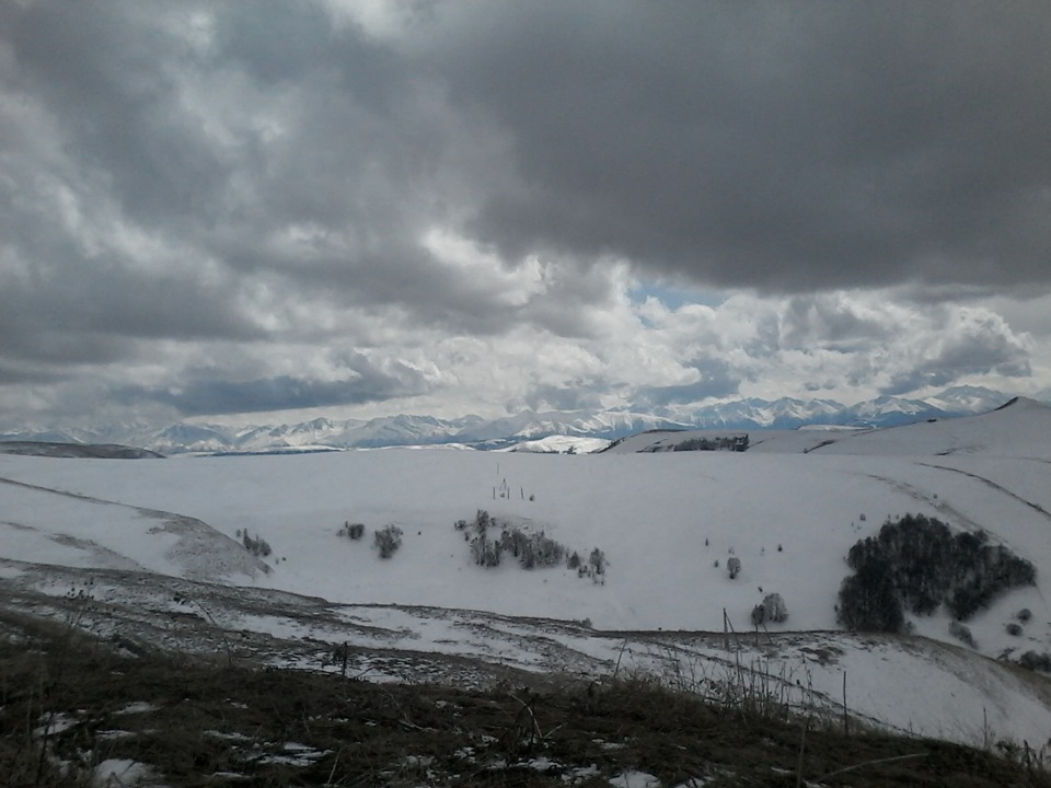 Фото в бортжурнале Lada 4x4 3D