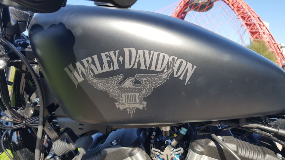 Мотоцикл harley davidson iron 883. Смотреть фото Мотоцикл harley davidson iron 883. Смотреть картинку Мотоцикл harley davidson iron 883. Картинка про Мотоцикл harley davidson iron 883. Фото Мотоцикл harley davidson iron 883