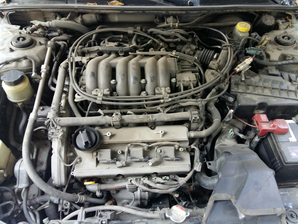 Замена наконечник катушки зажигание — Infiniti I30/I35 (2G), 3 л, 2001 ...