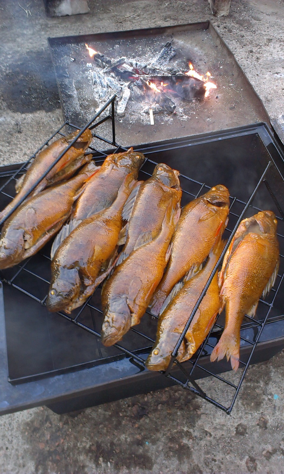 Рецепт ароматной рыбы горячего копчения в домашних условиях в духовке с фото