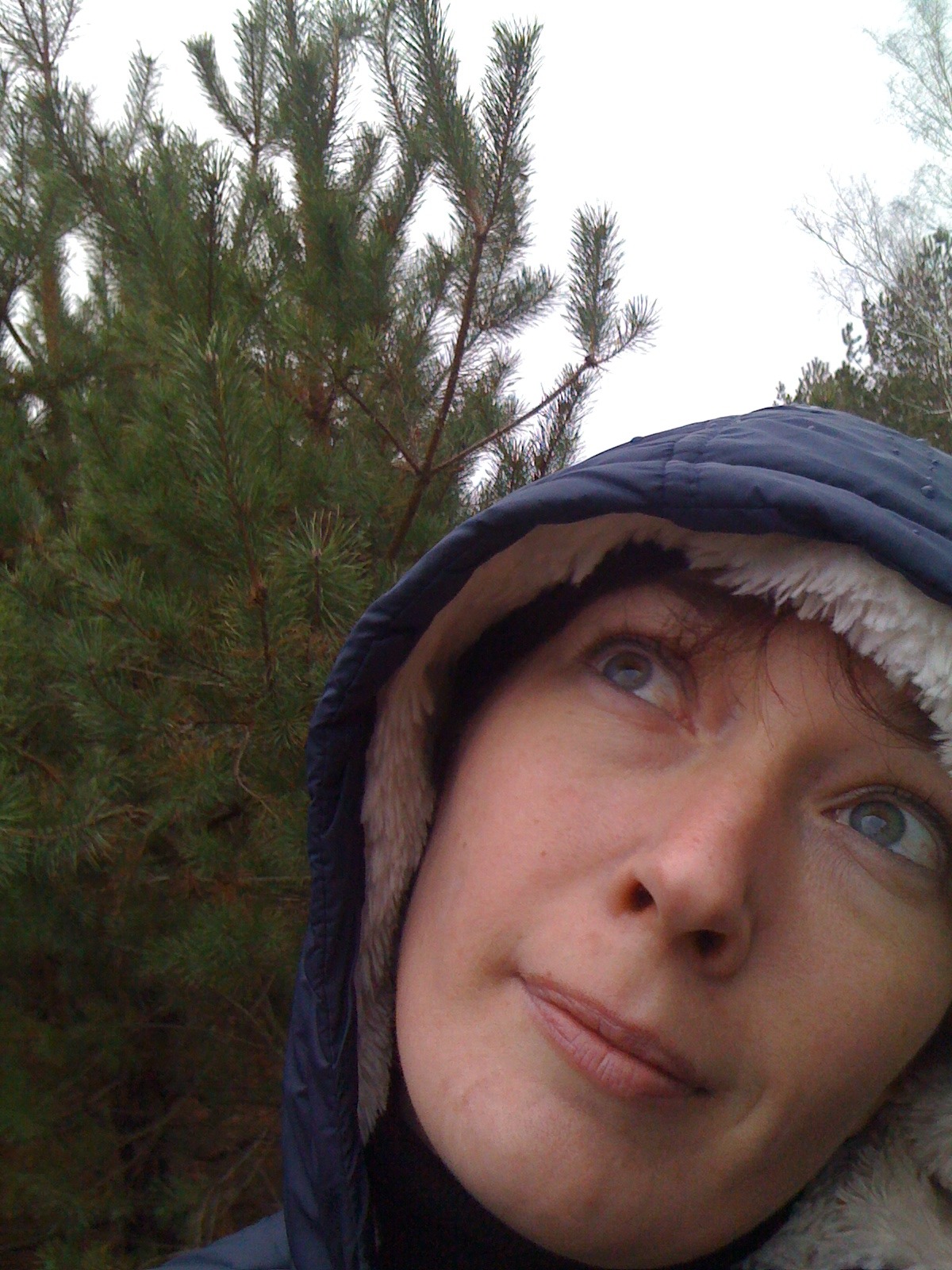 Житомирщина — DRIVE2