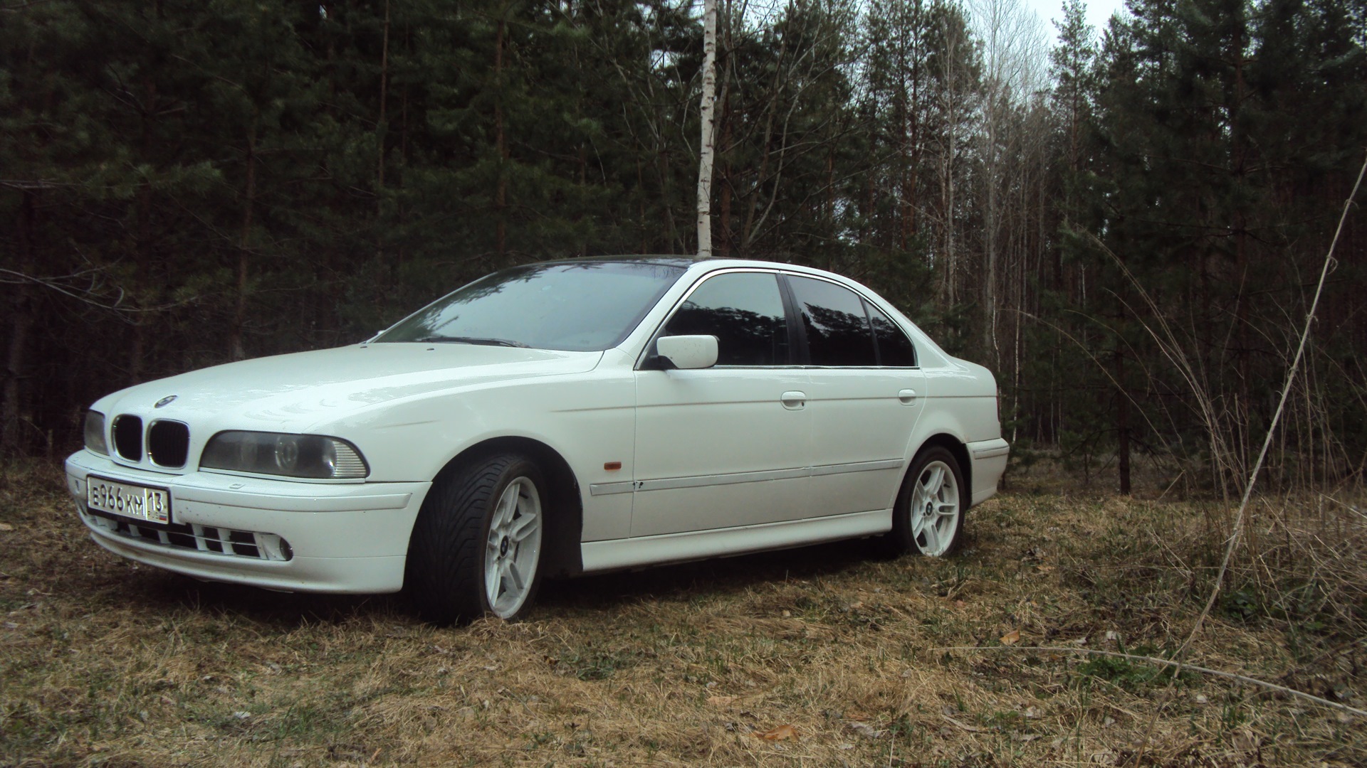 BMW 5 series (E39) 2.0 бензиновый 1999 | 