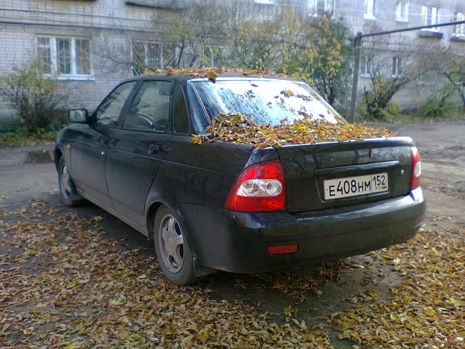 Шашки на голо, или сабли в цвет машины:) — Lada Приора седан, 1,6 л, 2008  года | фотография | DRIVE2