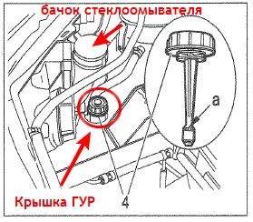 Бачок гур ситроен с4 где находится