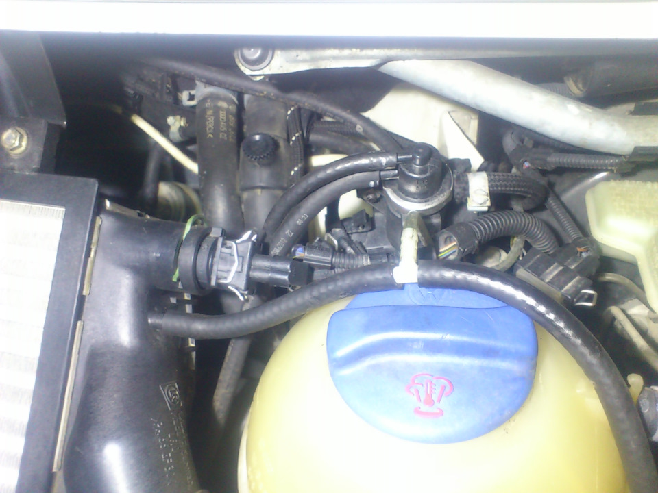 Расширительный бачок чистый и снутри и снаружи-это радует глаз — Volkswagen Transporter T4