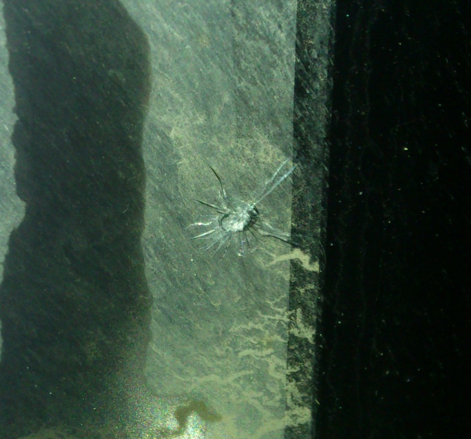 Скол от камешка из под фуры (изнутри) — BMW 3 series (E90)