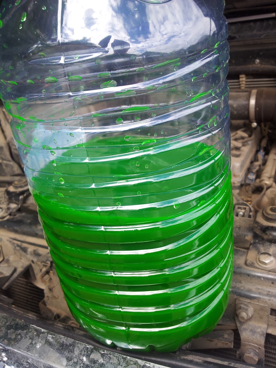 Жидкость ховер. Антифриз для Ховера м4. Антифриз зелёный на Ховер н3 бензин 2.0.