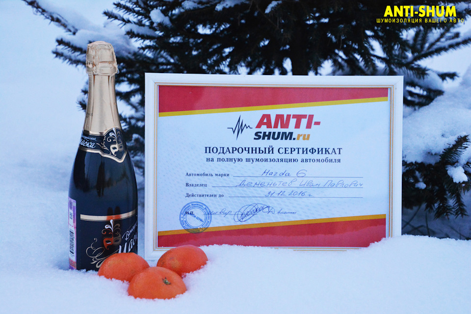 Новогодние скидки и подарки от Anti-Shum.ru + акция на химчистку ...