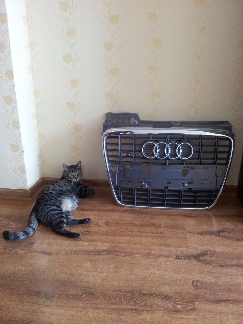 Решетка радиатора S4 — Audi A4 (B7), 2 л, 2008 года | стайлинг | DRIVE2