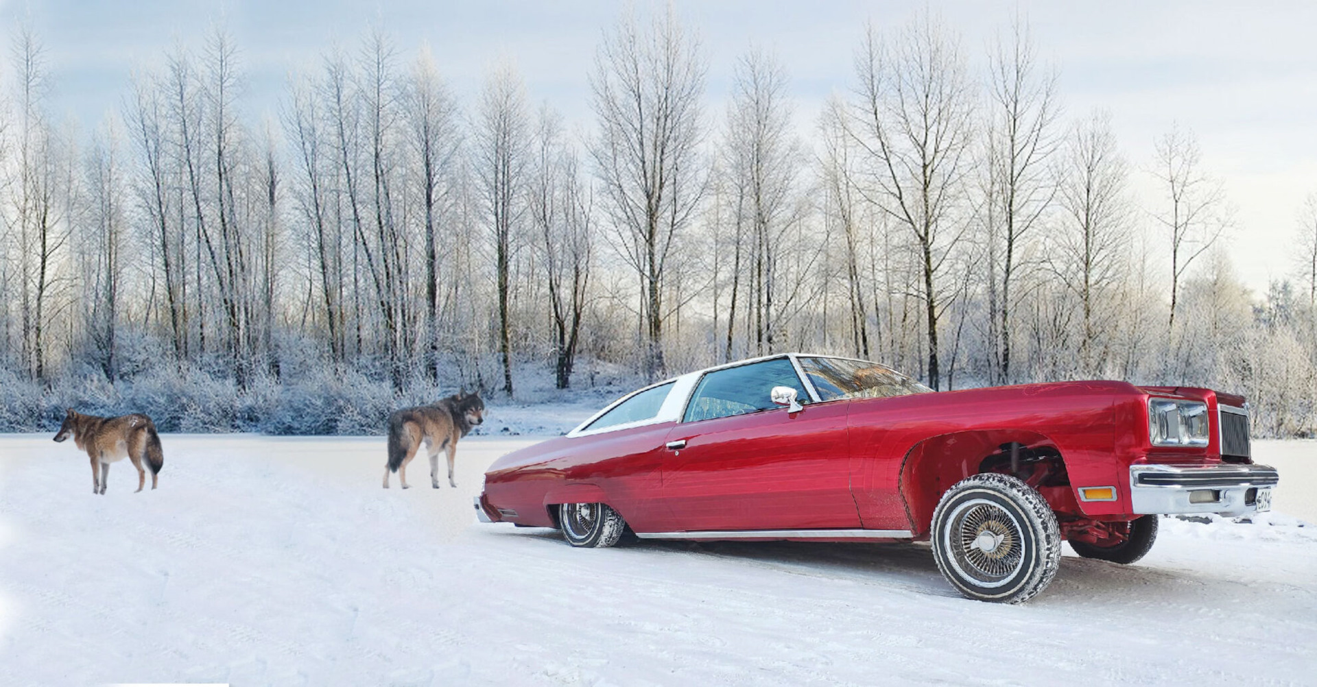 From Siberia with LOW ! — Chevrolet Caprice (2G), 5,7 л, 1975 года |  наблюдение | DRIVE2