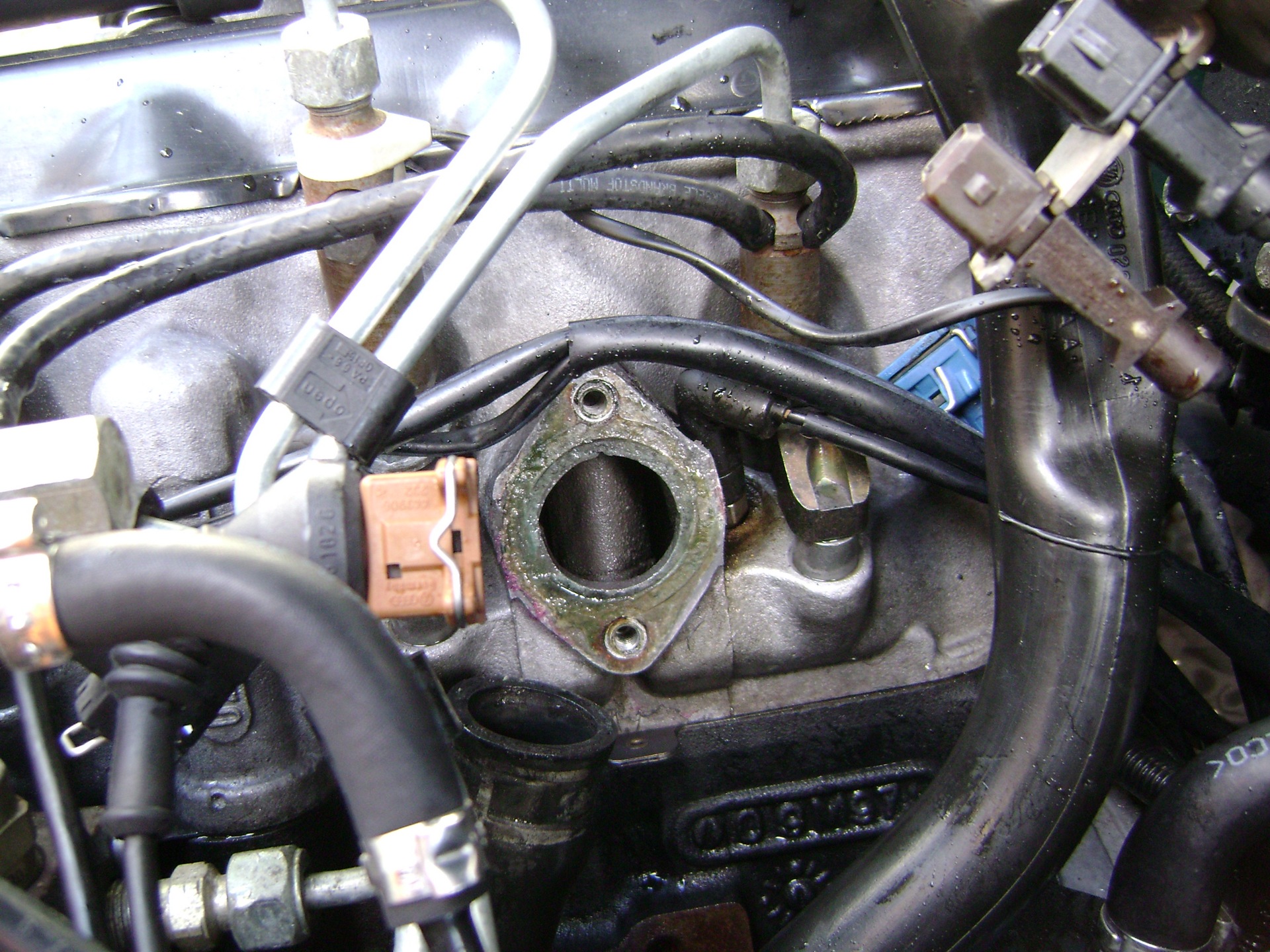 Фото в бортжурнале Volkswagen Passat Variant (B5)