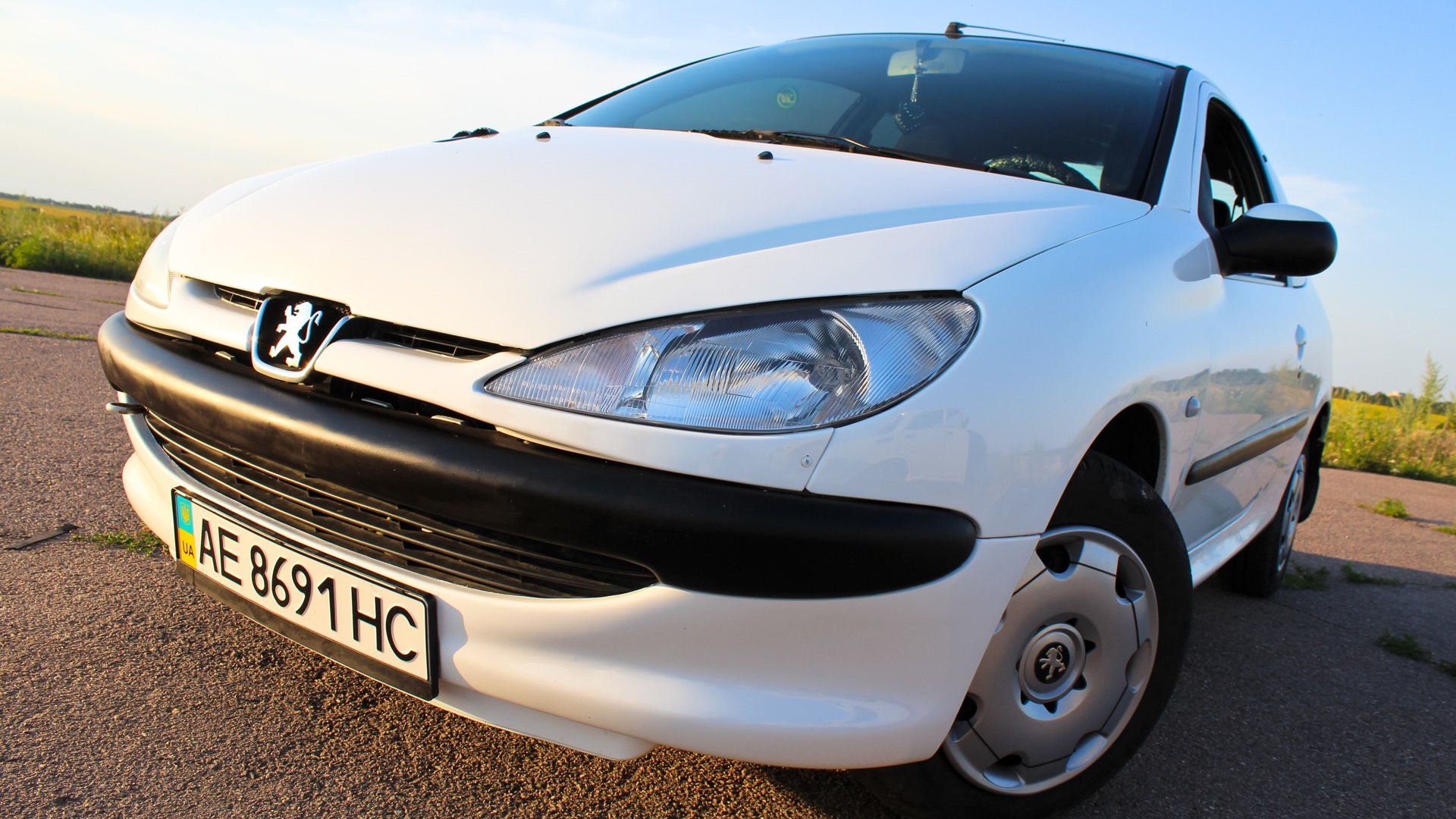 Peugeot 206 1.4 бензиновый 2002 | Пижон))) на DRIVE2