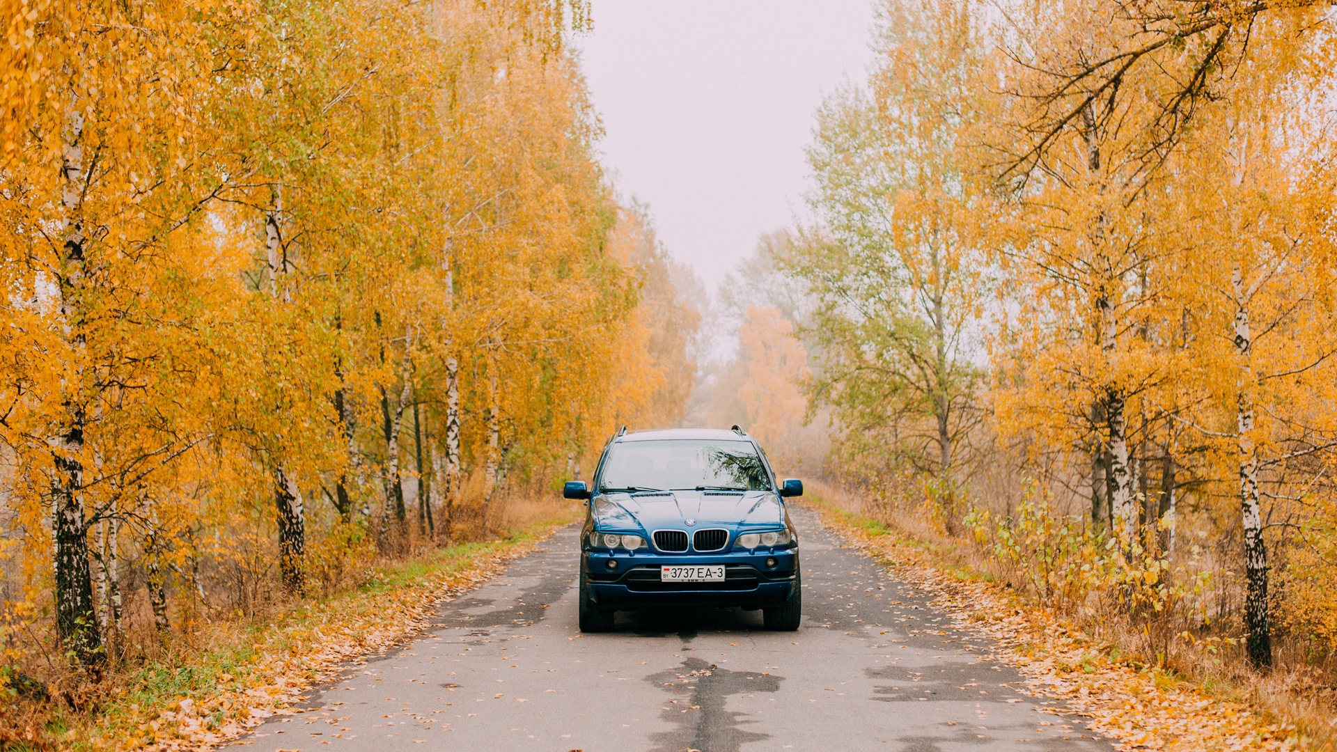 Осень 41. Автошкола осень. В автошколу осенью. Ава автомобиль едет по листве.