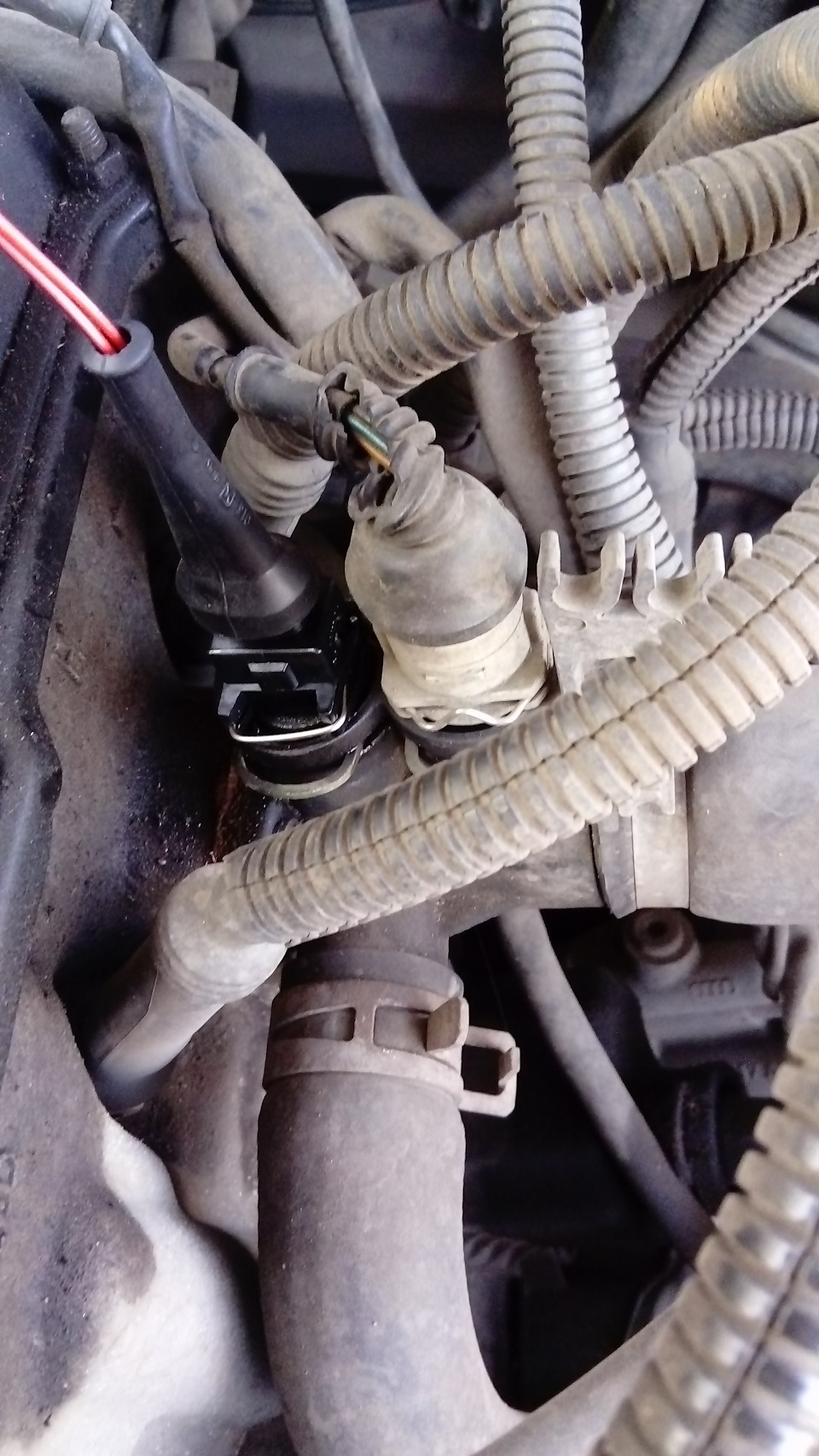 Фишка синего ДТОЖ — Audi 80 (B4), 2 л, 1992 года | другое | DRIVE2