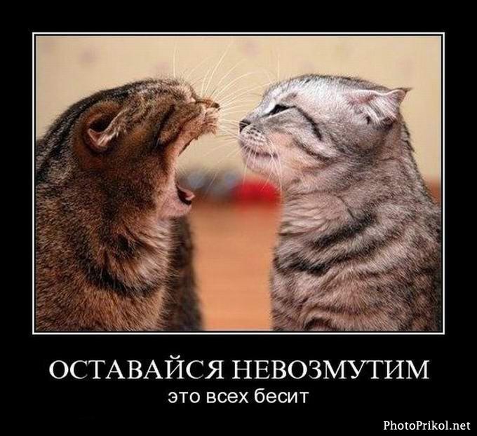 Открытка злюка мужчине