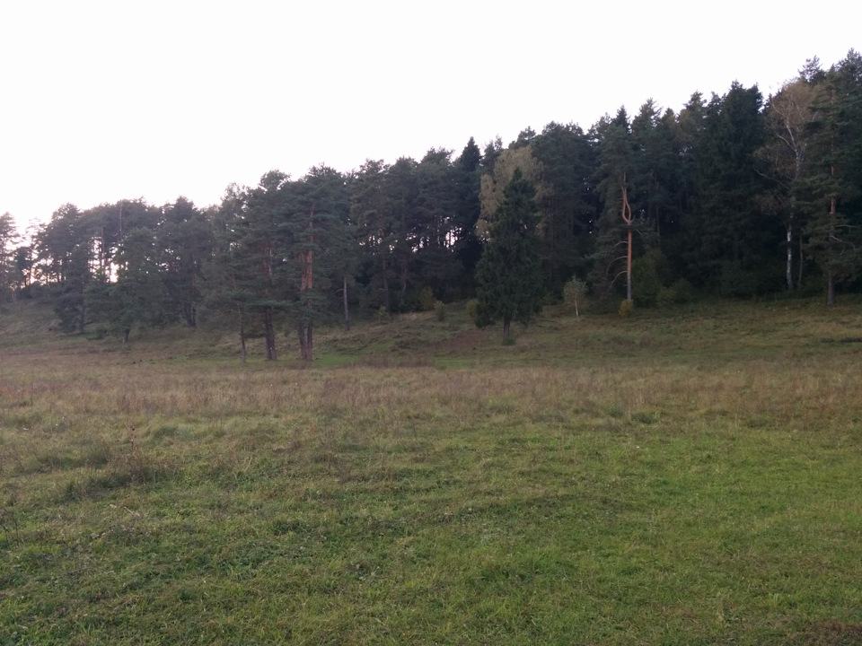 Фото в бортжурнале УАЗ 315195 Hunter