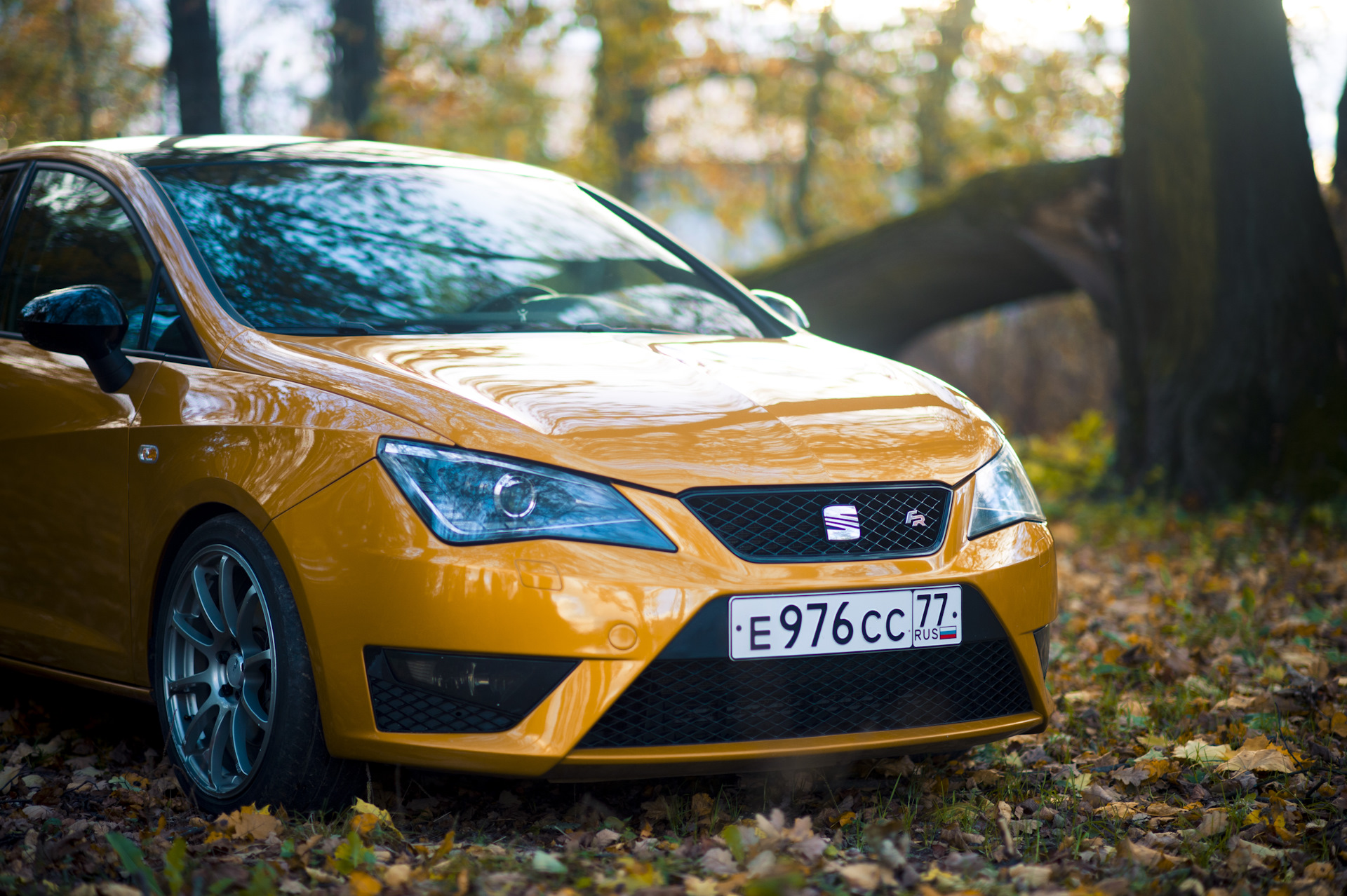 Seat Ibiza 4 mk4