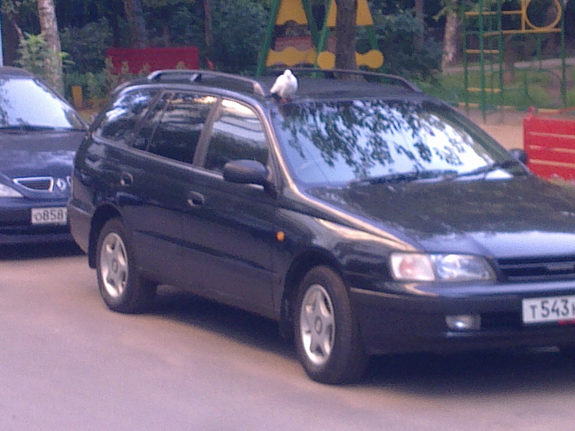 Голубь Мира! — Toyota Caldina (190), 2 л, 1994 года | встреча | DRIVE2