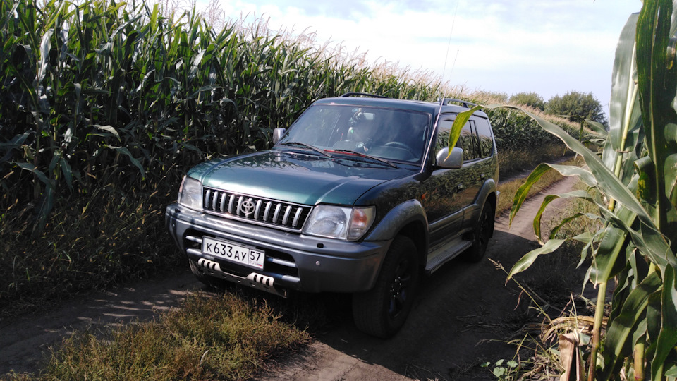 Подскажите по люфтам карданов и люфт гранаты. Это нормально?! — Toyota ...