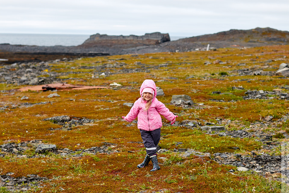 Фото в бортжурнале SsangYong Kyron