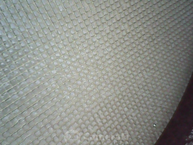 КОТОЛИЗАТОР, или когда коту делать нечего. — DRIVE2