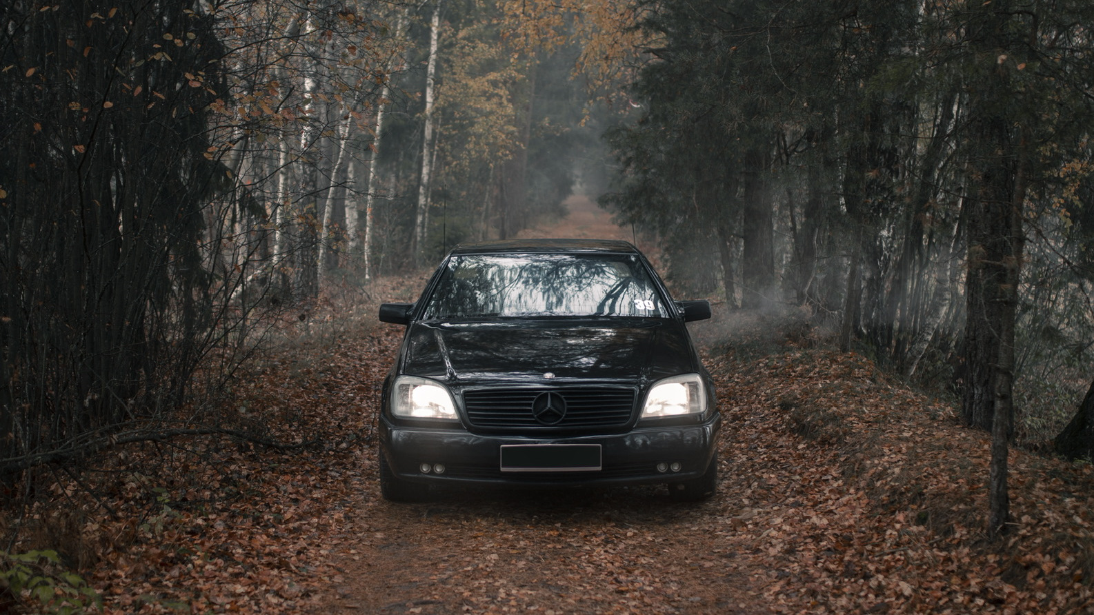 Mercedes-Benz S-Class (W140) 5.0 бензиновый 1994 | Coupe Lorinser на DRIVE2