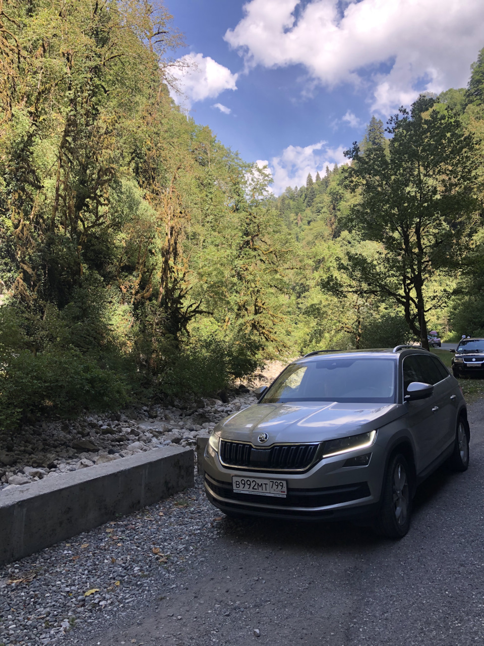 Первая проблема, дизель 2.0 TDi часть 2 — Skoda Kodiaq, 2 л, 2018 года |  поломка | DRIVE2