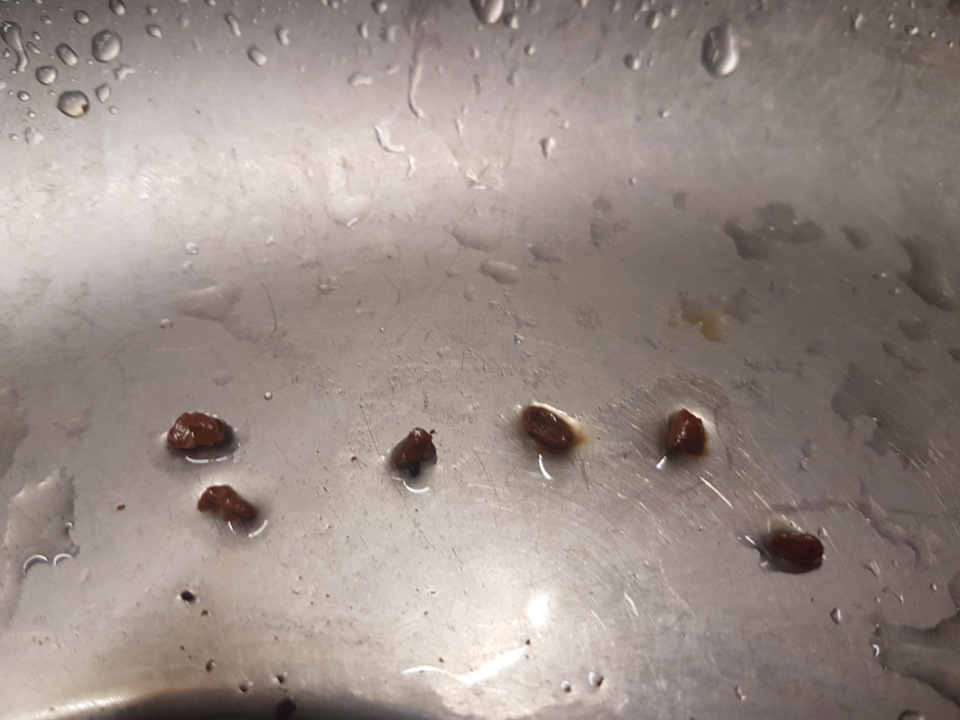 Промывка радиатора печки — Peugeot 408, 1,6 л, 2012 года | плановое ТО ...