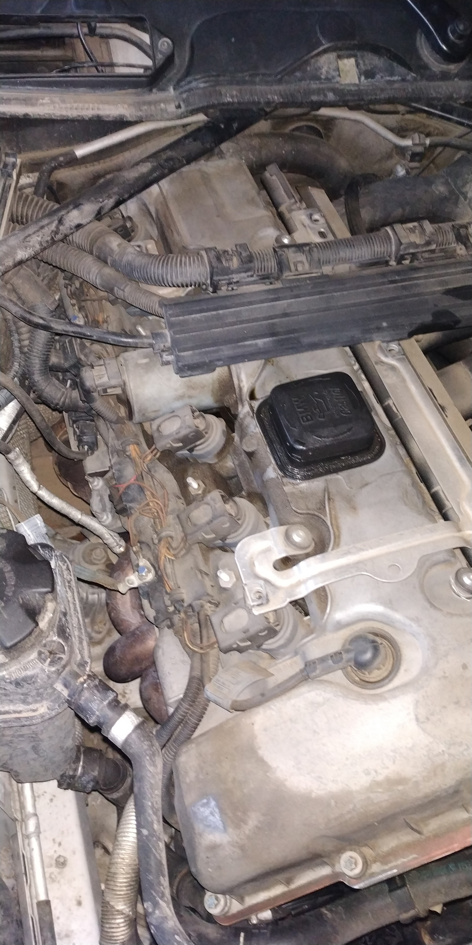 Фото в бортжурнале BMW 3 series (E90)