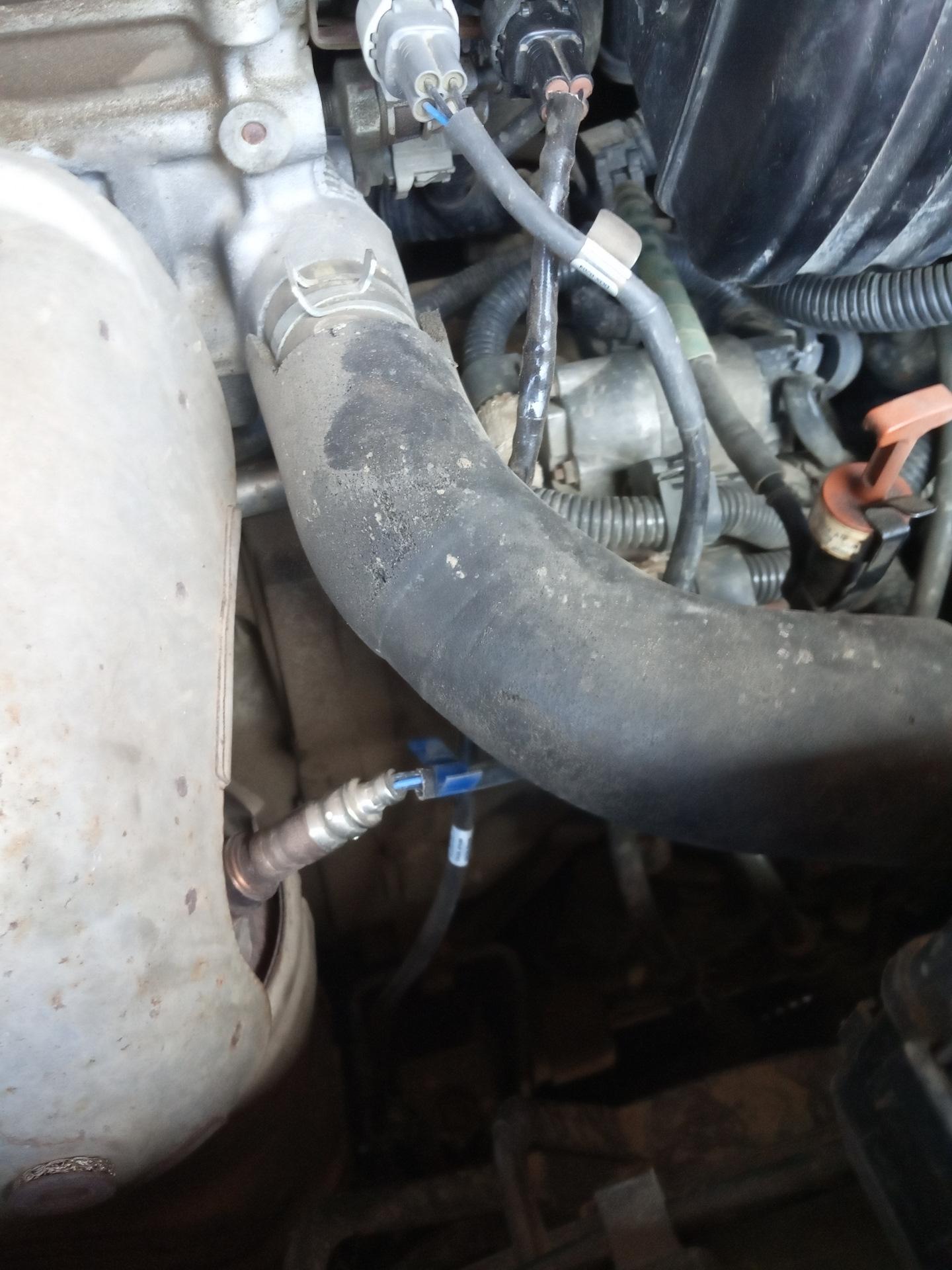 P0051 toyota avensis. P0037 toyota. P0037 субару импреза. P0037 toyota. P0037 nissan.