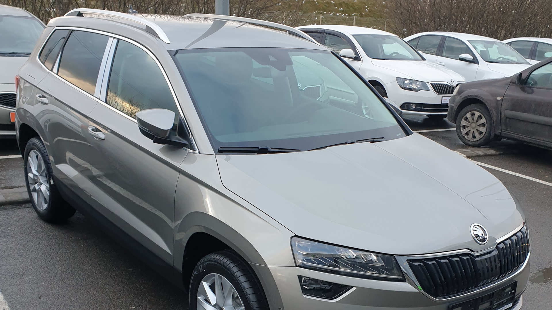 Skoda Karoq 1.4 бензиновый 2020 | 1,4 Кофе с молоком на DRIVE2