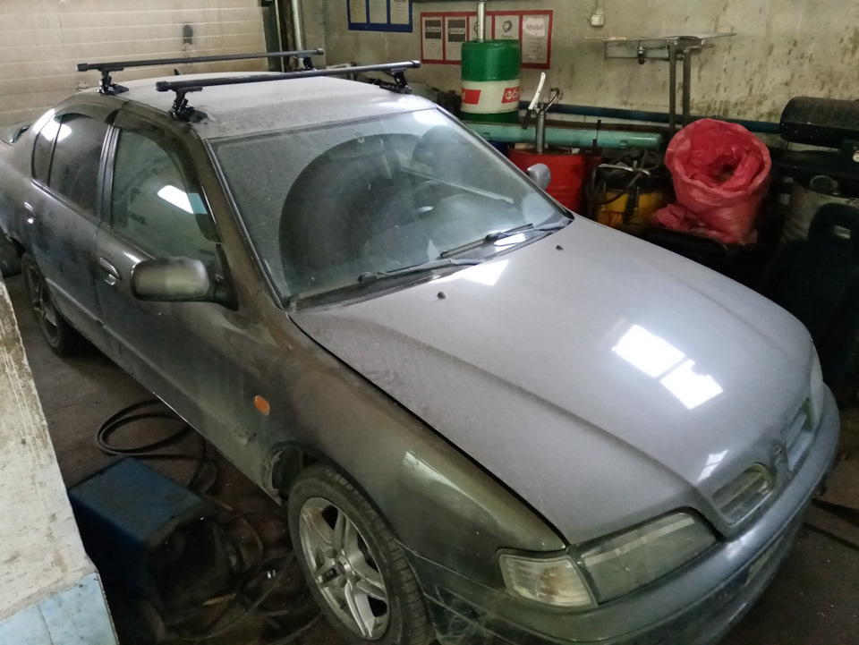 Фото в бортжурнале Nissan Primera (P11)