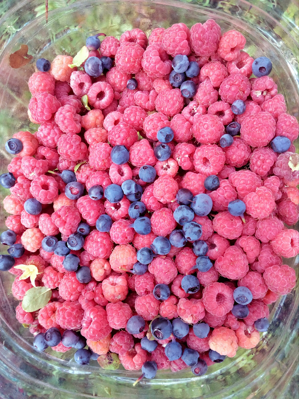 Москва-Онега-Архангельск или ЛетоОтдыхМоре, но на Юг) — DRIVE2