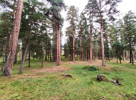 Фото в бортжурнале Haval H6 (1G)