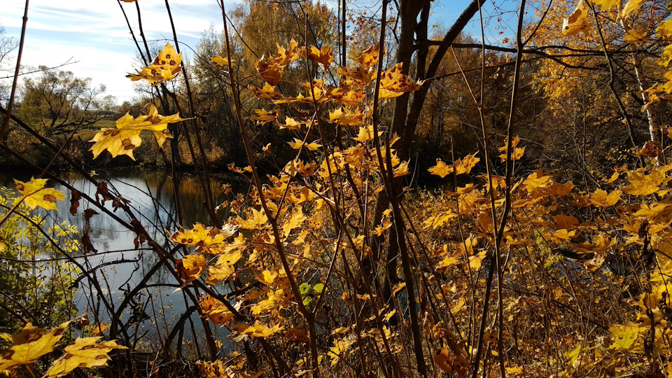 А говорят Toyota не подводит 2 — Toyota Harrier (2G), 3 л, 2004 года ...