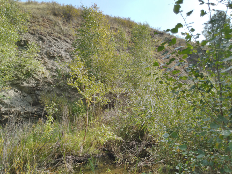 Замена прокладки ГБЦ — Часть 4 — Чистка, мойка всего (чем мыть мотор и ...