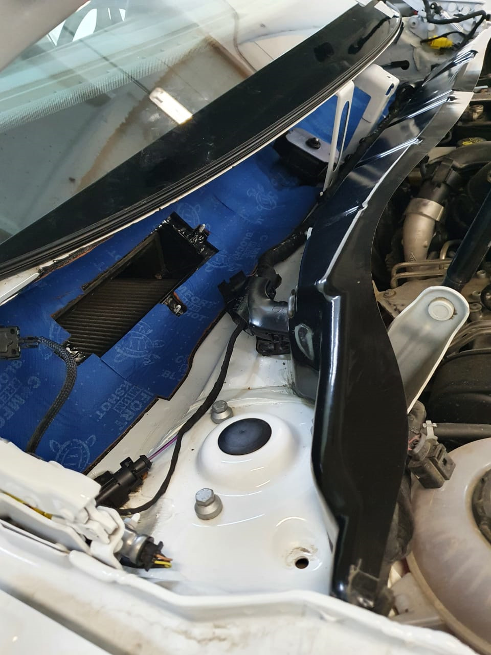 Фото в бортжурнале Volkswagen Tiguan (2G)