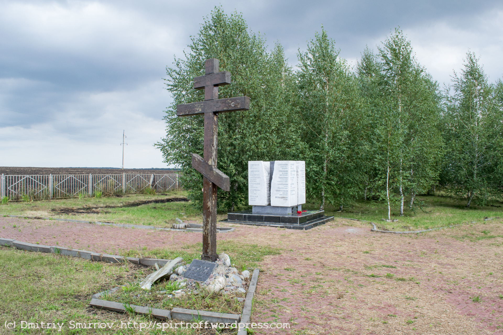 Место падения. Место падения самолета ту 134 в Тульской. Ту 134 Епифань. Крушение ту 134 в Тульской области. Бучалки Тульская область самолет.