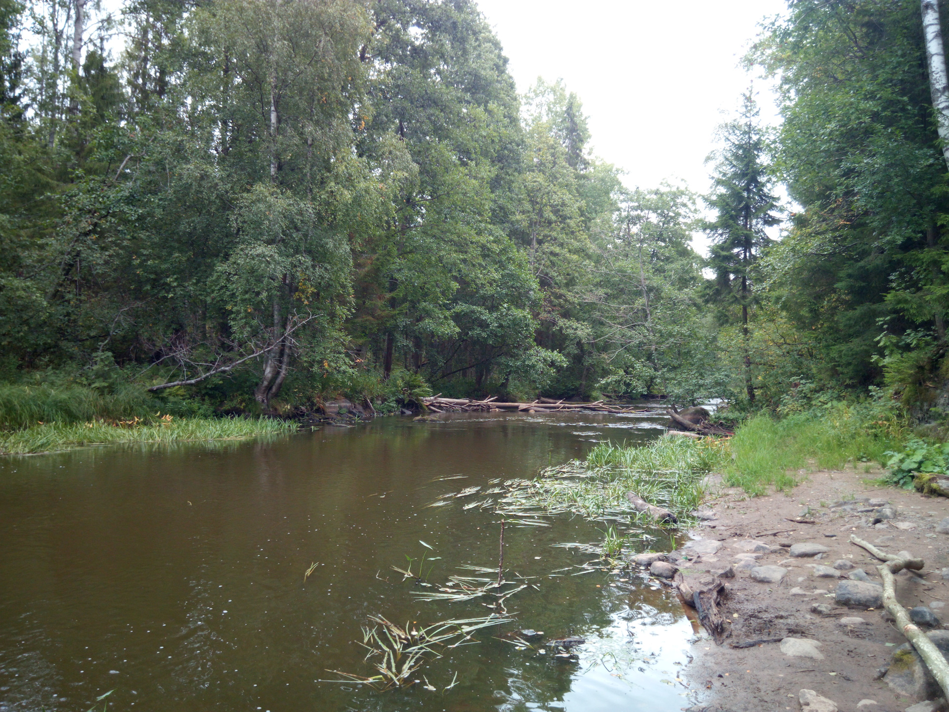 Река Вьюн Ленинградская