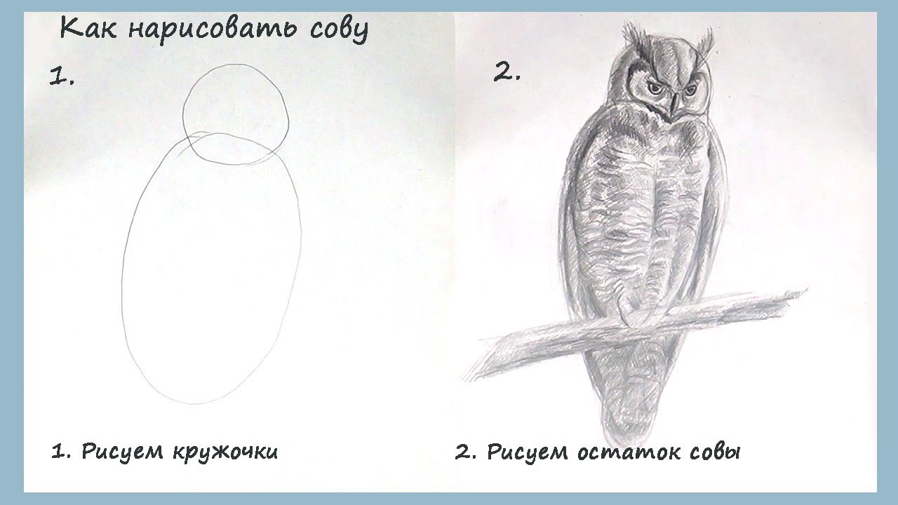 Нарисуйте рисунки которые могли получиться у тома во время урока