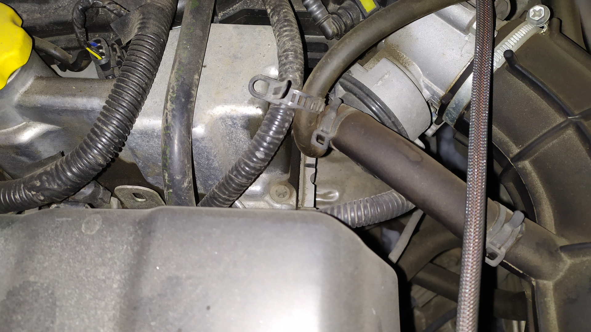 шевроле авео 1. крышка от двигателя для масла ситроен с4. масло под клапанной крышкой матиза. 406 мотор без клаппаннойкрышки. форд масло под клапанной крышкой.