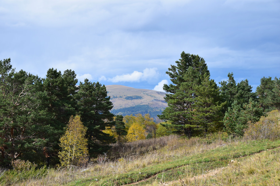 Фото в бортжурнале Renault Duster (1G)