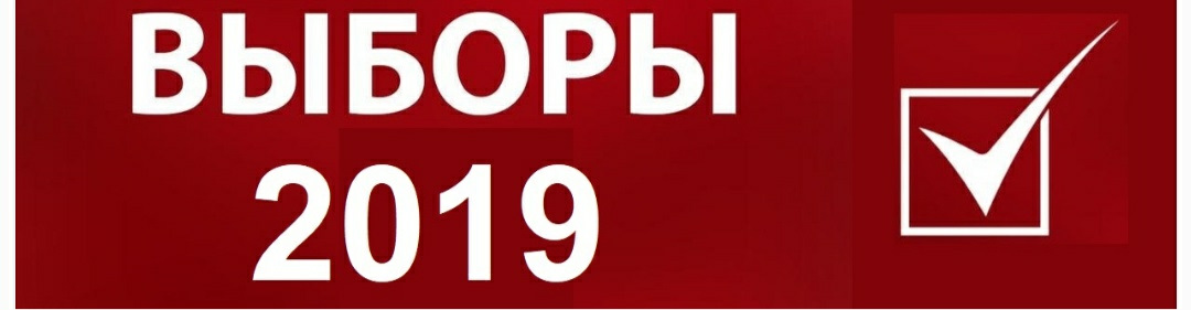 Выбору 2019. Выборы 50/50. 50. Выборы.