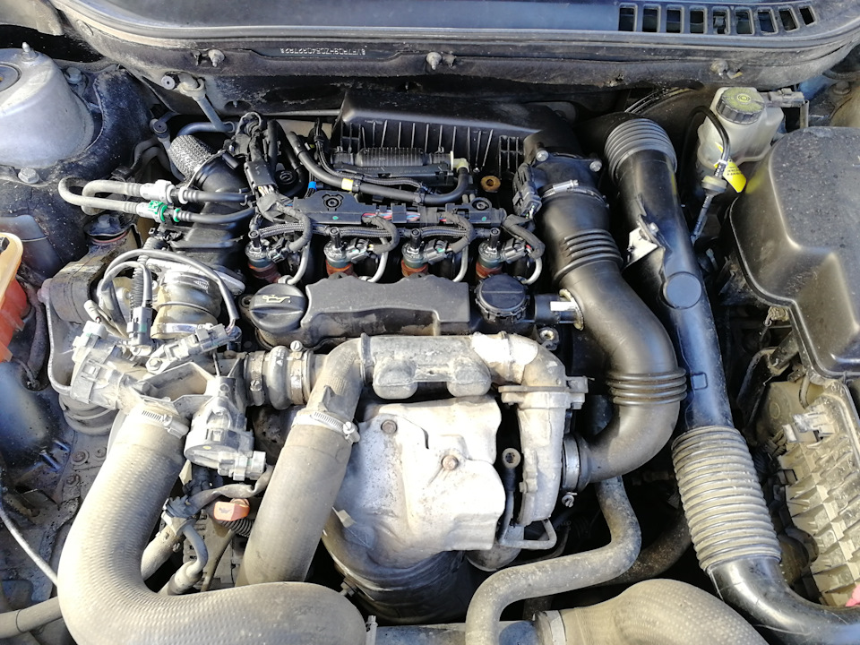 Замена шлангов обратки форсунок 1.6 hdi и передних аммортизаторов — Citroen C5 (2G), 1,6 л, 2008 года | своими руками | DRIVE2